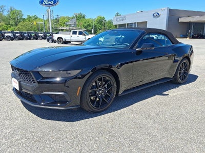 2025 Ford Mustang EcoBoost