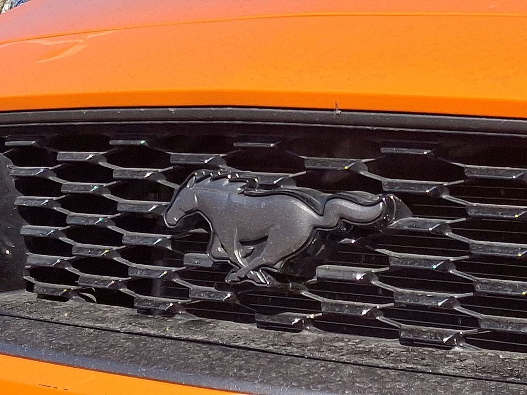 2021 Ford Mustang Mach 1