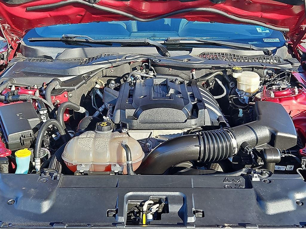 2019 Ford Mustang EcoBoost