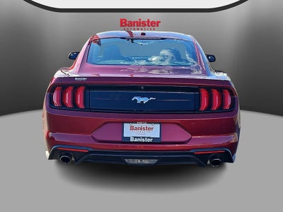 2019 Ford Mustang EcoBoost